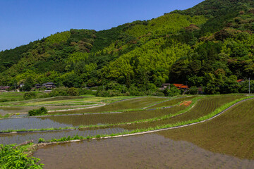 井手浦の棚田の風景　北九州市小倉南区