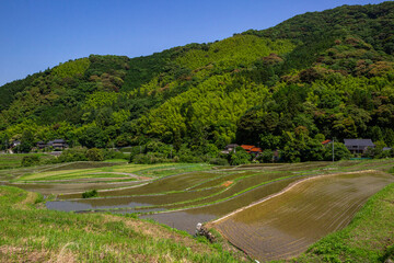 井手浦の棚田の風景　北九州市小倉南区