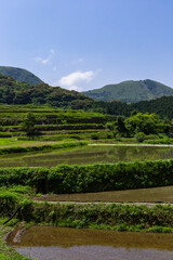 井手浦の棚田の風景　北九州市小倉南区
