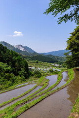 井手浦の棚田の風景　北九州市小倉南区