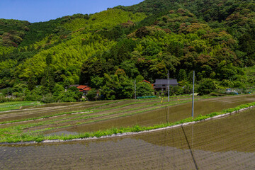 Obraz premium 井手浦の棚田の風景 北九州市小倉南区