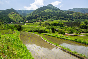 井手浦の棚田の風景　北九州市小倉南区