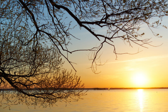 Beautiful summer morning lake landscape with sunrise © khmelev
