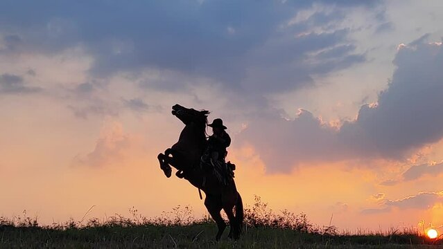 silhouette of cowboy riding a horse in sunset