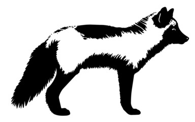 vector black fox silhouette