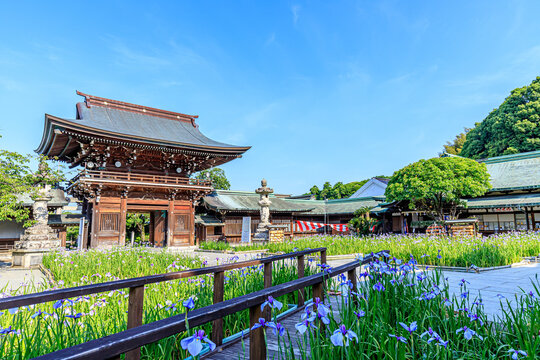 宮地嶽神社 Images Browse 361 Stock Photos Vectors And Video Adobe Stock