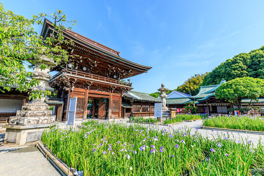 宮地嶽神社 Images Browse 361 Stock Photos Vectors And Video Adobe Stock
