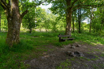 UK Brecon Llwyn-on Reservoir Bench