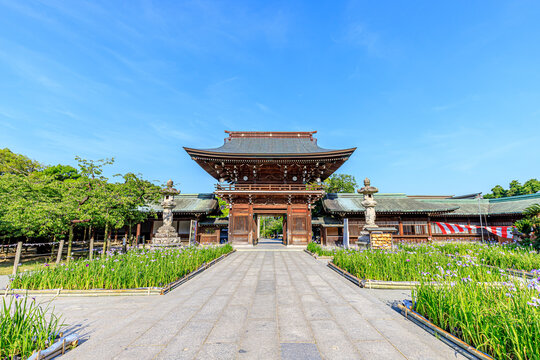 宮地嶽神社 Images Browse 361 Stock Photos Vectors And Video Adobe Stock