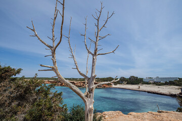 Cala Saona, Formentera, Pitiusas Islands, Balearic Community, Spain