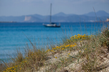 Ses Salines d’Eivissa i Formentera Natural Park, Illetes beach, Formentera, Pitiusas Islands,...