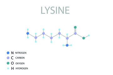 Lysine molecular skeletal 3D chemical formula.	