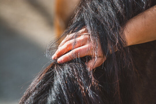 Paramour Images Browse 1,199,913 Stock Photos, Vectors, and Video