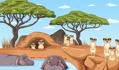 Dryland forest landscape with animals © blueringmedia