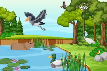 Various animals in the forest © blueringmedia