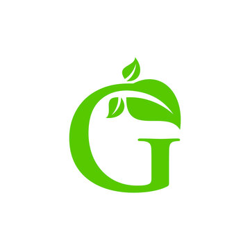 G Leaf Logo can be used for company, icon, and others.