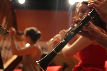 Close up view of a classical music wind instrument in the selective focus shoot. - obrazy, fototapety, plakaty