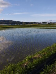 landscape with lake and blue sky