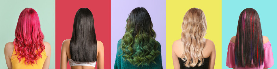 Young women with beautiful dyed hair on colorful background, back view