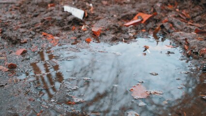Muddy Ground Road with Rain Water Puddles Low Angle Push Forward 