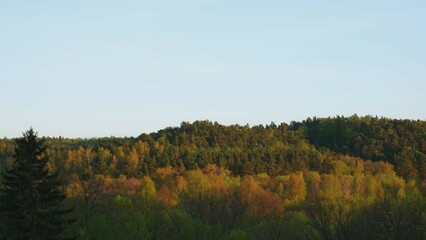 Sunny Cloudy Day Time Lapse Landscape of Forest Hills	