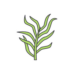 Tarragon icon in color, isolated on white background 