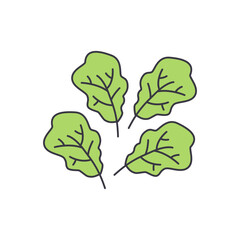 Spinach vegetable icon in color, isolated on white background 