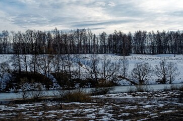 on the banks of the river in early spring