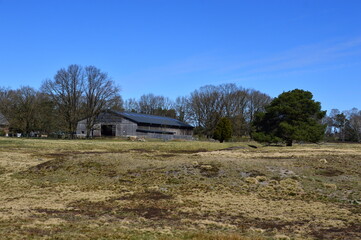 Landschaft im Frühling in der Lüneburger Heide, Schneverdingen, Niedersachsen