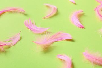Fototapeta na wymiar Beautiful pink feathers on color background