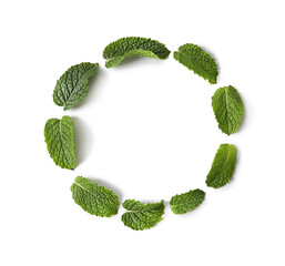 Frame made of mint leaves on white background © Pixel-Shot