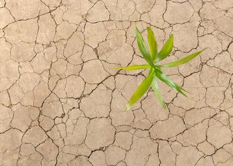 Close of a photo of seamless cracked soil. Concept of drought and climate change.