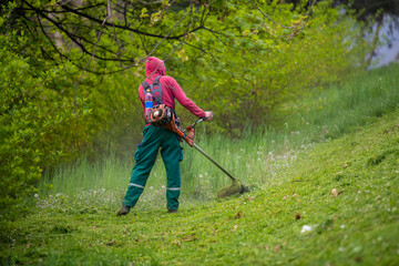 Worker mowing tall grass with electric or petrol lawn trimmer in city park or backyard. Gardening care tools and equipment. Process of lawn trimming with hand mower.