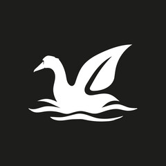 Obraz premium leaf-winged swimming duck