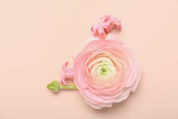 Buds of beautiful flowers on pink background