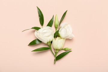 Fototapeta premium Beautiful eustoma flowers and leaves on pink background