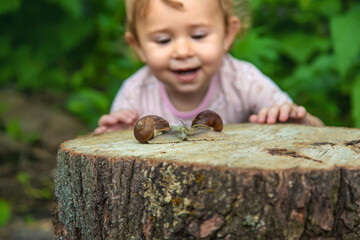 The child examines the snails on the tree. Selective focus.