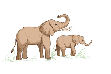 Cute elephant and baby family, with white tusks cartoon animal character design 