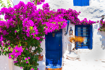 Charming typical floral streets of Greek islands with whitewashed houses and blue doors - obrazy, fototapety, plakaty