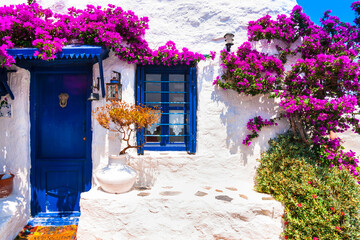Charming typical floral streets of Greek islands with whitewashed houses and blue doors - obrazy, fototapety, plakaty