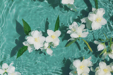 White jasmine flowers in transparent water. Summer floral composition with sun and shadows. Nature...