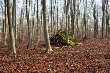 a child's cabin in the woods