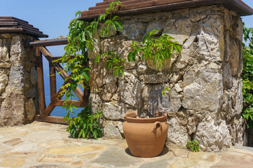 Large clay pot by a stone wall framed with wild grapes