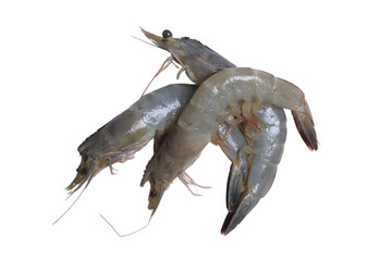 หนังสือเล่มนี้เป็นของ