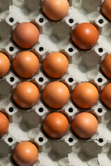 Red hen eggs in box, organic food ingredients
