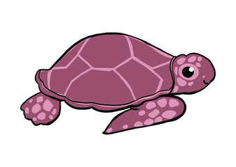 海や水族館で泳ぐ単体のウミガメ