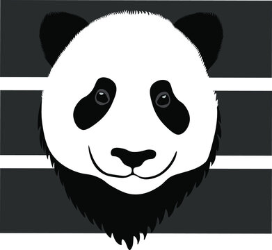 Vector black and white panda