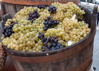 grape fruit for red or white wine