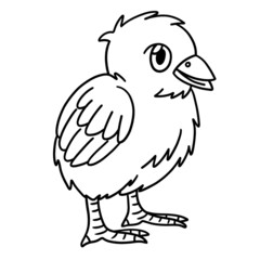 Chick Coloring Page Isolated for Kids