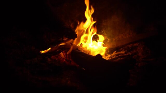 4k video of burning wood in the campfire at night.
